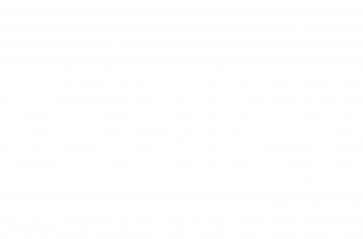 Logo Sollers mono white